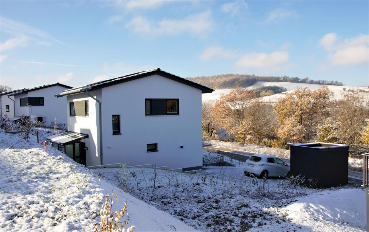Ferienhaus Direkt Am Diemelsee-Heringhausen-Willingen-Toplage-Sauna-3 Schlafzimmer-2 Terrassen-109 Qm-Incl Waesche Екстер'єр фото